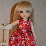 Чудная Антешечка едет в новый дом