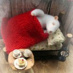 Зимний сон. Мышонок