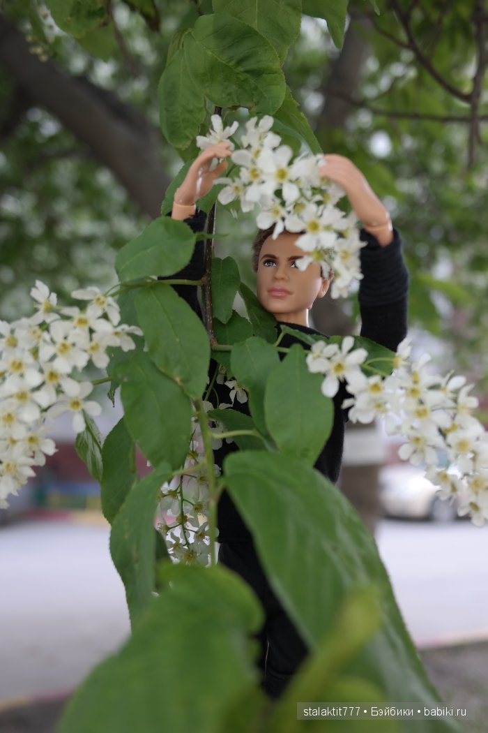 Прогулка Фора или цветы для подруги