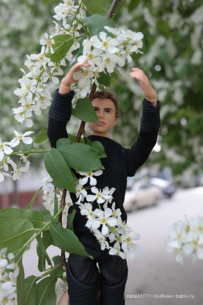 Прогулка Фора или цветы для подруги