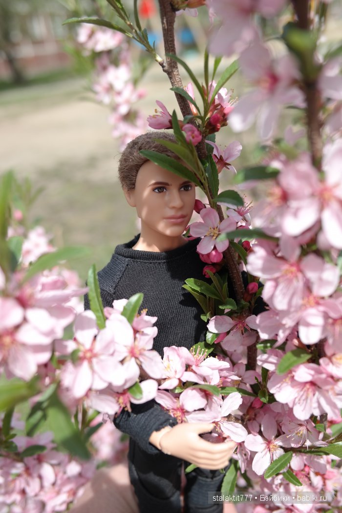 Прогулка Фора или цветы для подруги