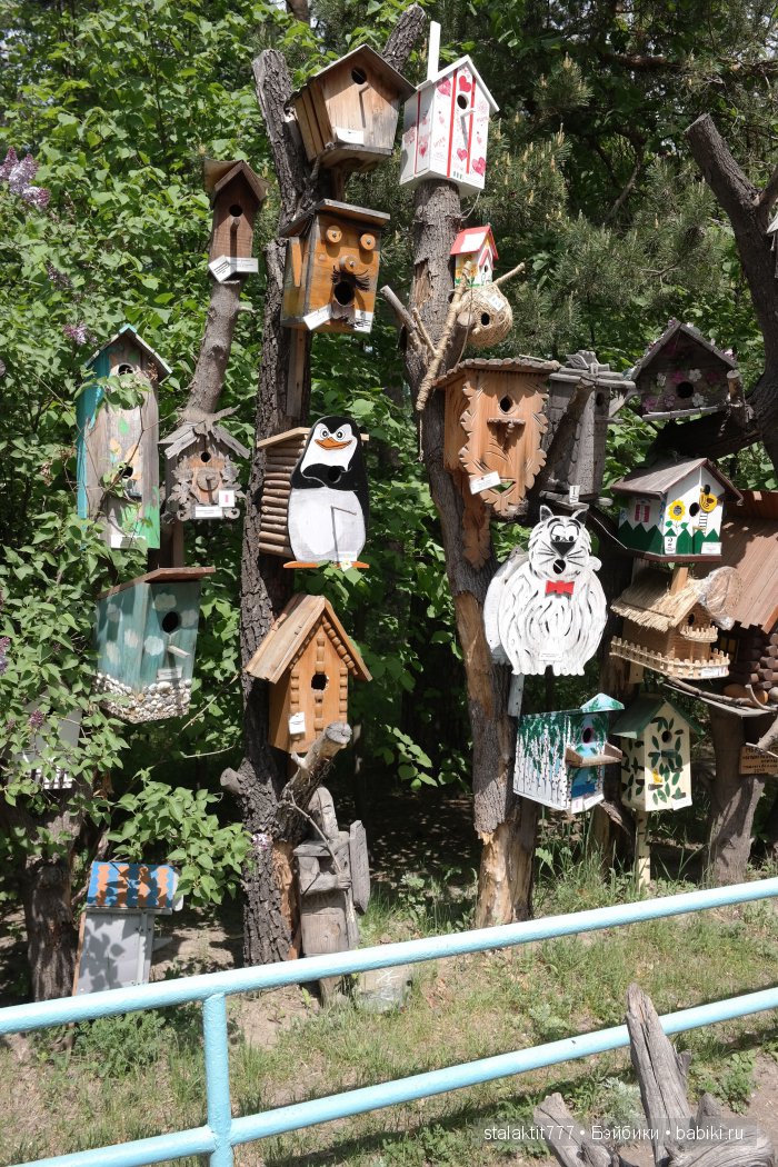 Выставка-коллекция скворечников (фото 9)