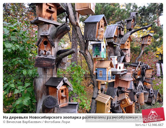 Выставка-коллекция скворечников