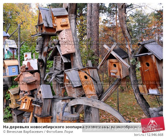 Выставка-коллекция скворечников