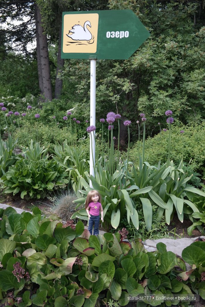 Приключения Логан на прогулке