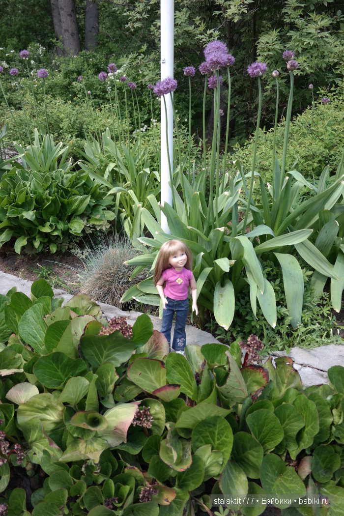 Приключения Логан на прогулке