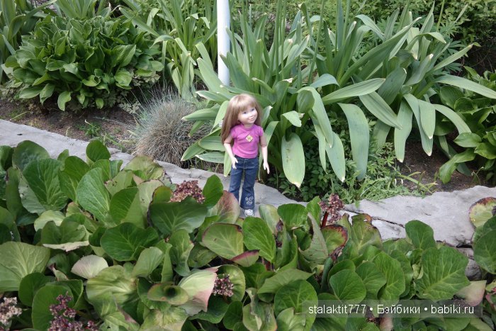 Приключения Логан на прогулке