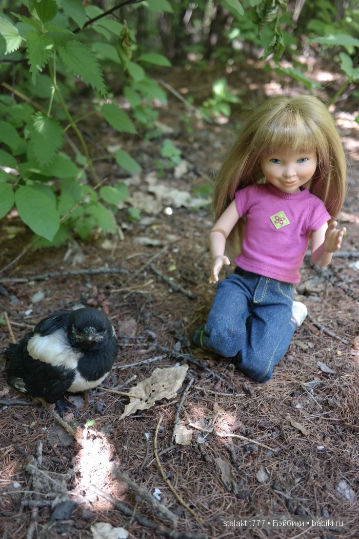 Как Логан птенца сороки встретила