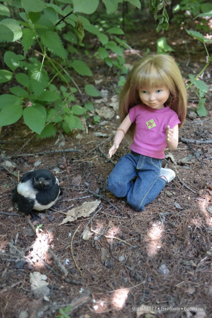 Как Логан птенца сороки встретила