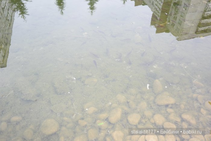 Русалочка Ариэль. Продолжение сказки в наше время. Часть 1 (фото 5)