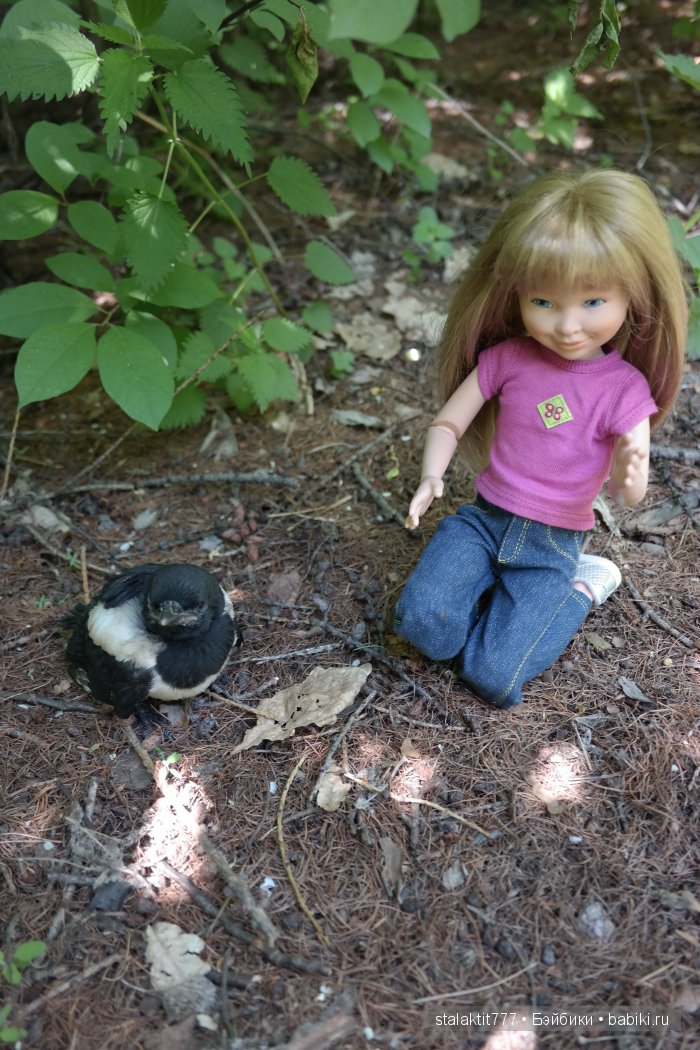 Как Логан птенца сороки встретила