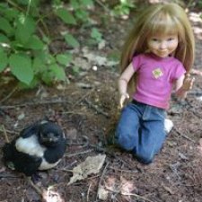 Как Логан птенца сороки встретила