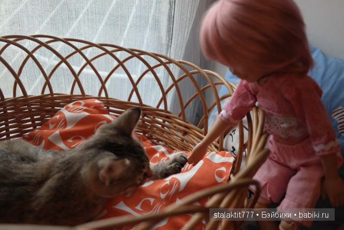 Котокафе "Murchim" — Интересное и необычное: фотоподборки
