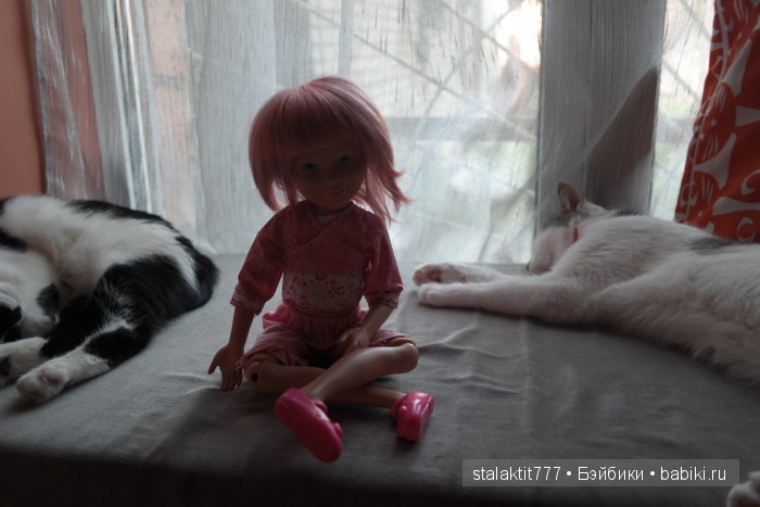 Котокафе "Murchim" — Интересное и необычное: фотоподборки