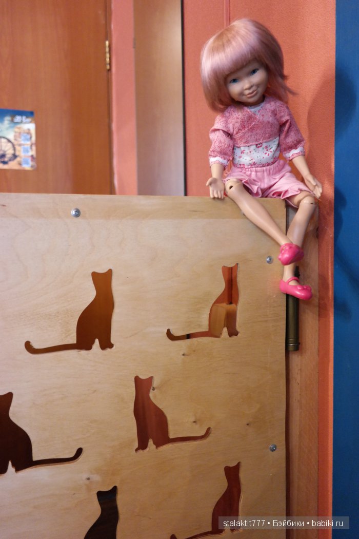 Котокафе "Murchim" — Интересное и необычное: фотоподборки (фото 8)