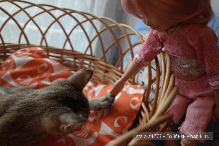 Котокафе "Murchim" — Интересное и необычное: фотоподборки