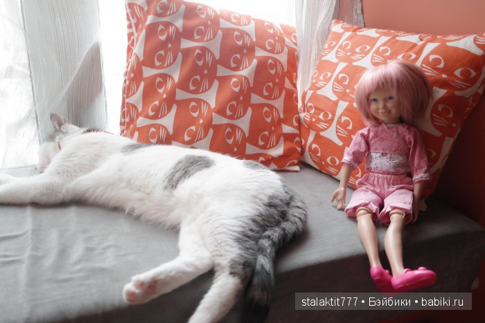 Котокафе "Murchim" — Интересное и необычное: фотоподборки