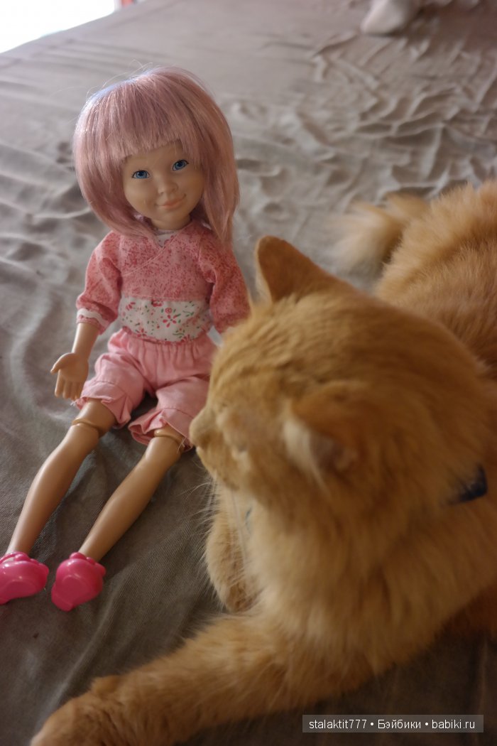 Котокафе "Murchim" — Интересное и необычное: фотоподборки