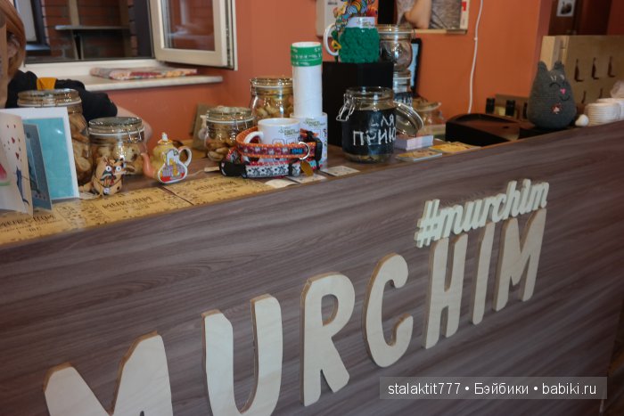 Котокафе "Murchim" — Интересное и необычное: фотоподборки (фото 10)