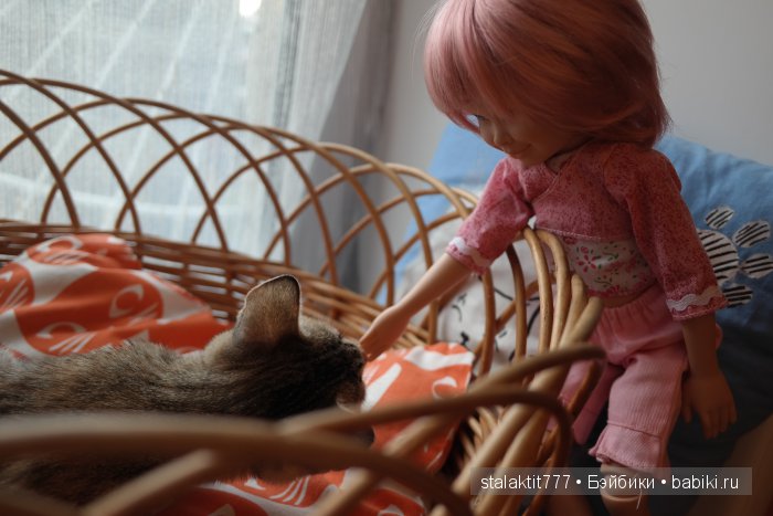 Котокафе "Murchim" — Интересное и необычное: фотоподборки