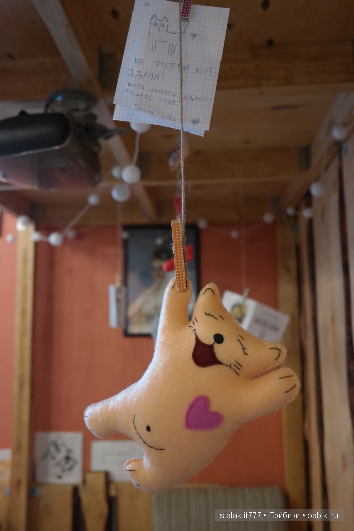Котокафе "Murchim" — Интересное и необычное: фотоподборки
