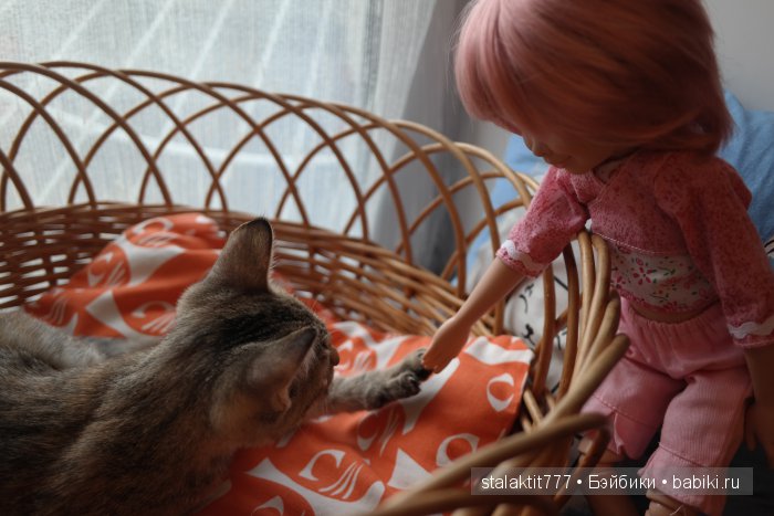 Котокафе "Murchim" — Интересное и необычное: фотоподборки