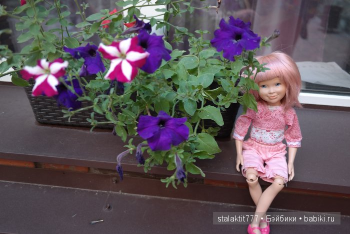 Котокафе "Murchim" — Интересное и необычное: фотоподборки (фото 6)