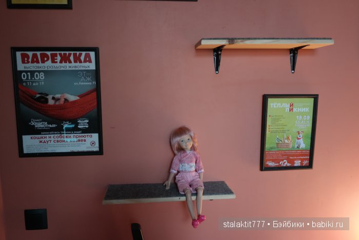 Котокафе "Murchim" — Интересное и необычное: фотоподборки