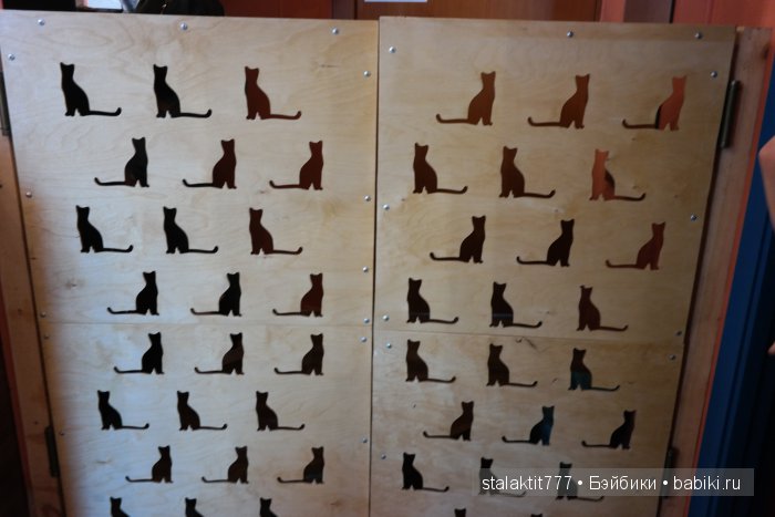 Котокафе "Murchim" — Интересное и необычное: фотоподборки (фото 7)