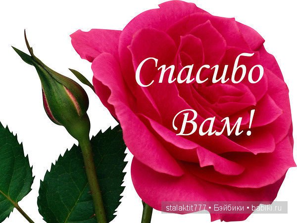 Кукла Момоко - мой лунный лучик