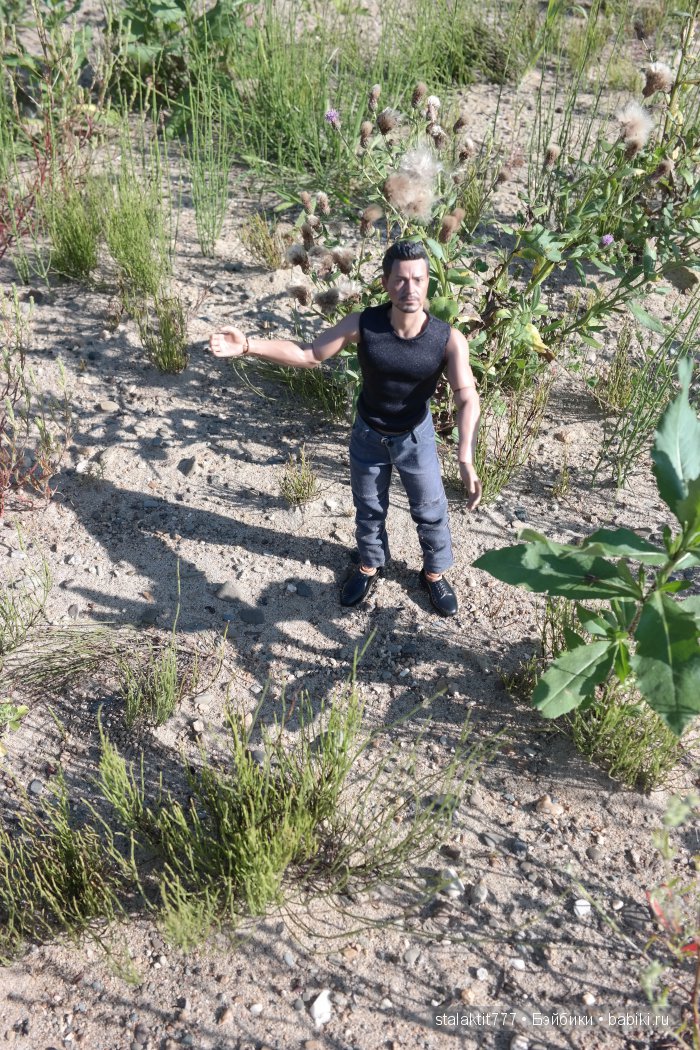 Странник — Коллекционные экшн