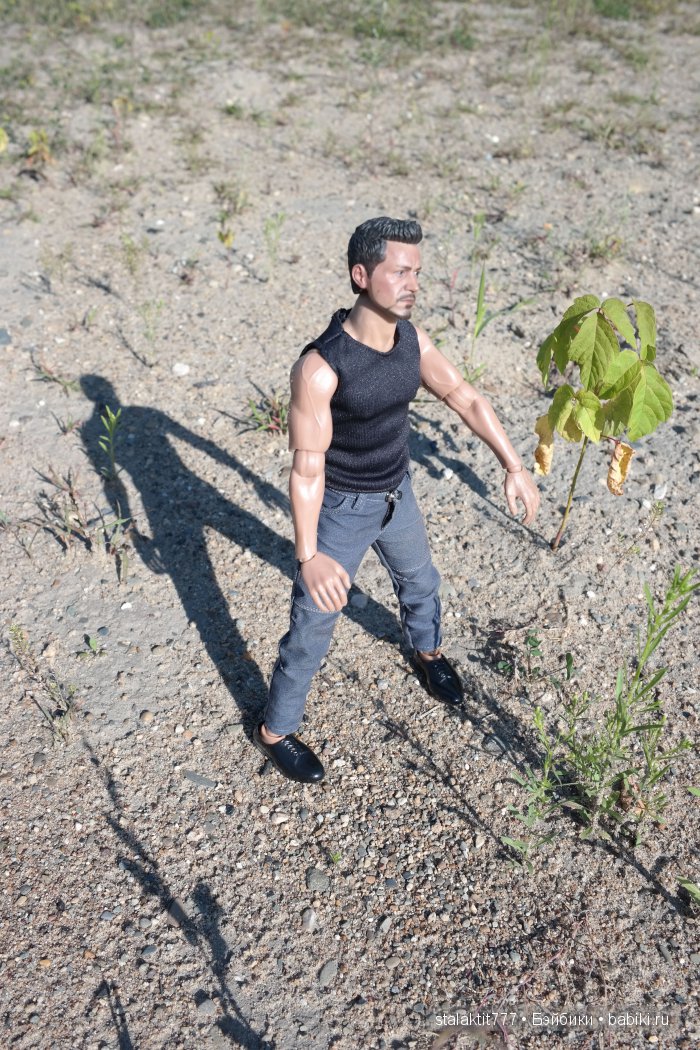 Странник — Коллекционные экшн