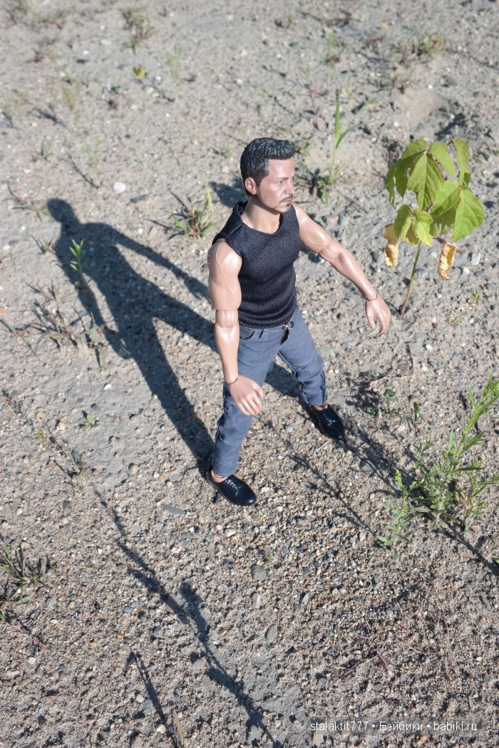 Странник — Коллекционные экшн