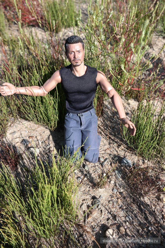 Странник — Коллекционные экшн