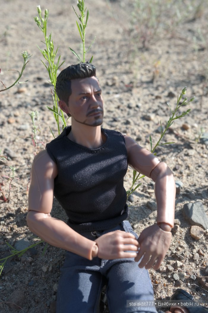 Странник — Коллекционные экшн