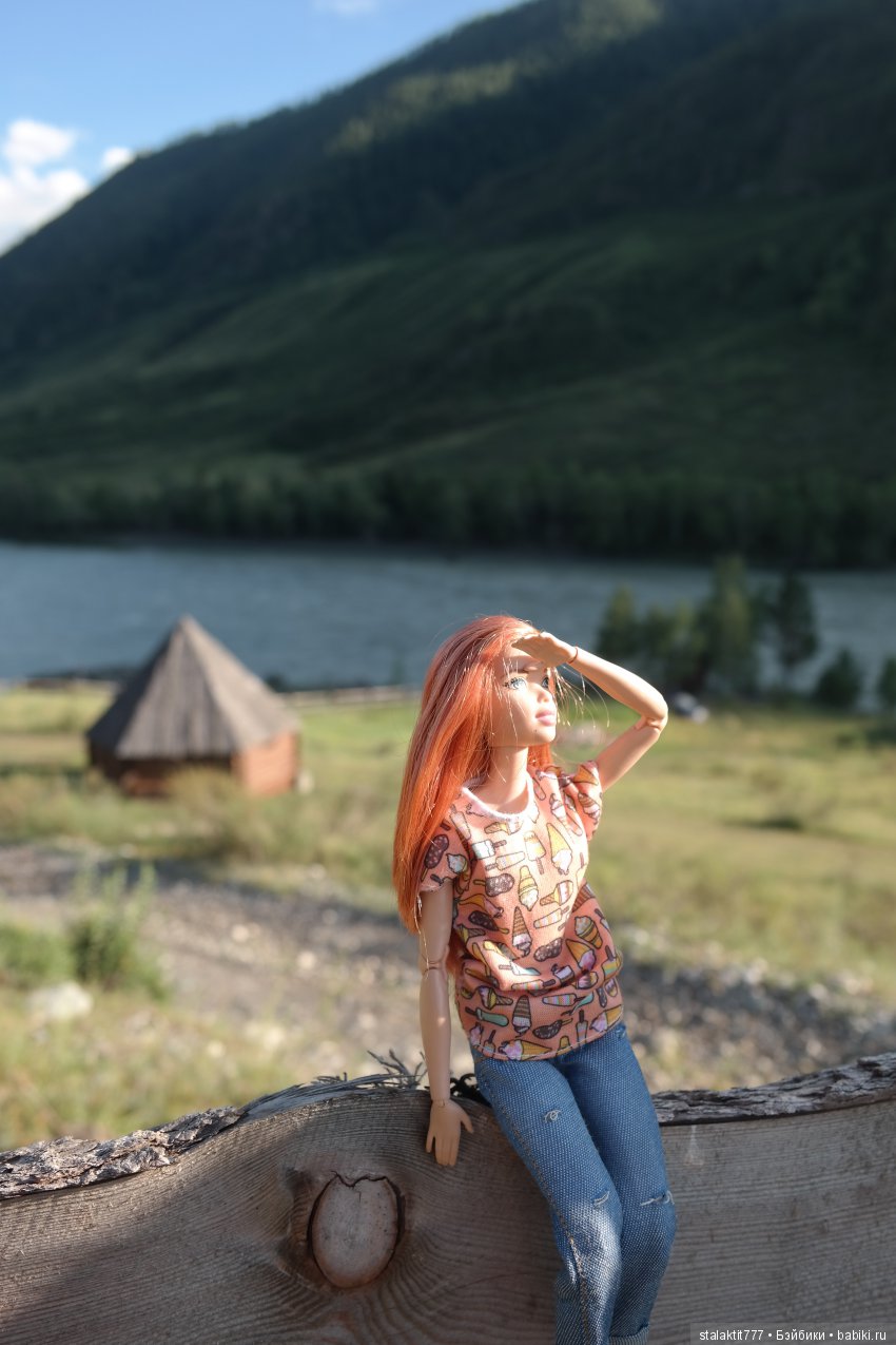 Дело было на Алтае — Коллекционные экшн