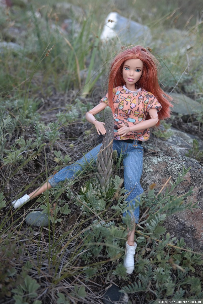 Дело было на Алтае — Коллекционные экшн