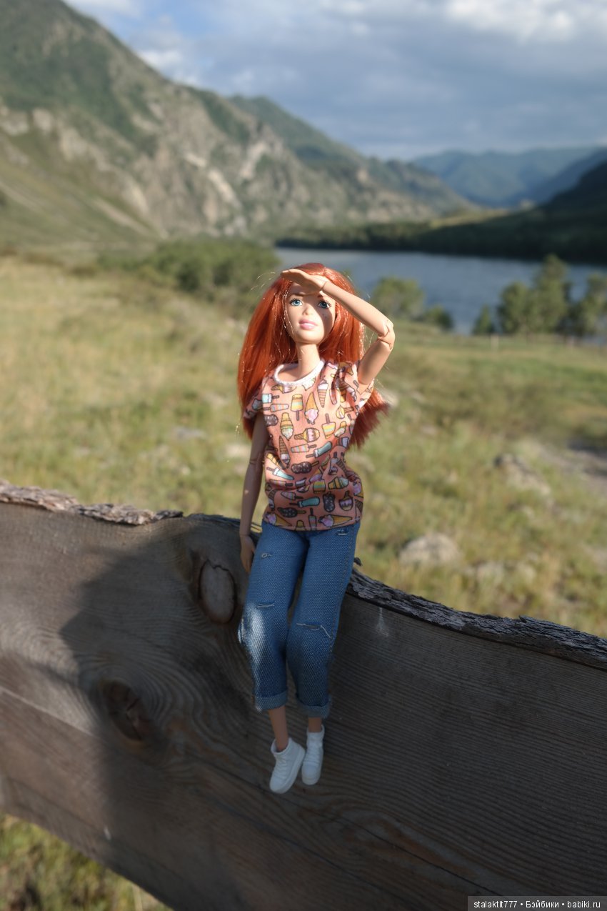 Дело было на Алтае — Коллекционные экшн