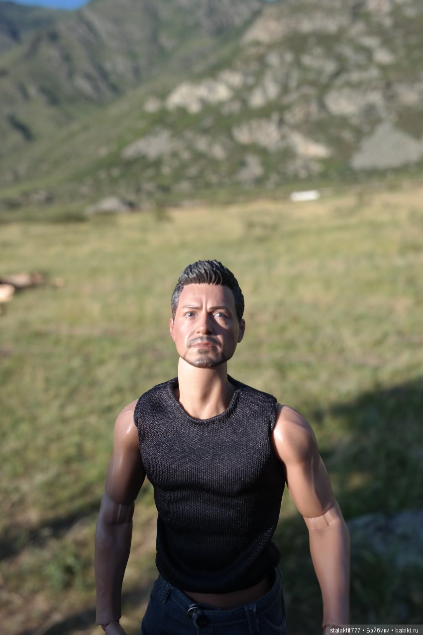 Дело было на Алтае — Коллекционные экшн