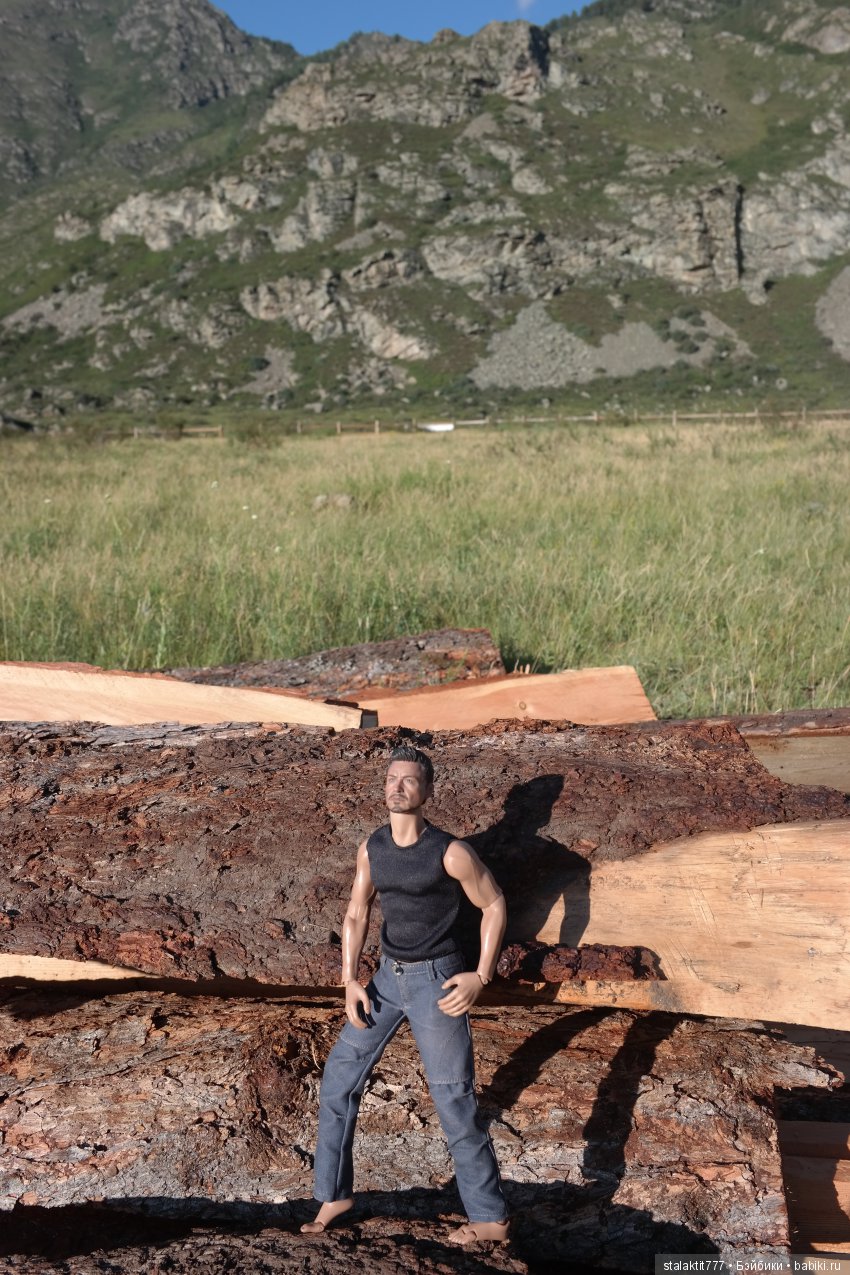 Дело было на Алтае — Коллекционные экшн