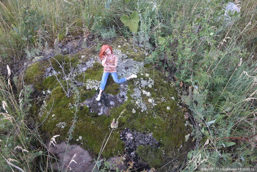 Дело было на Алтае — Коллекционные экшн