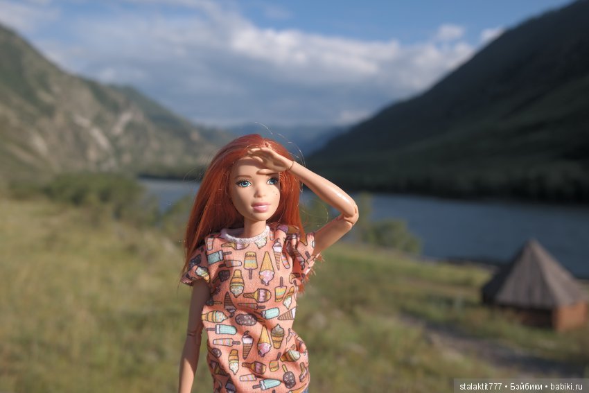 Дело было на Алтае — Коллекционные экшн