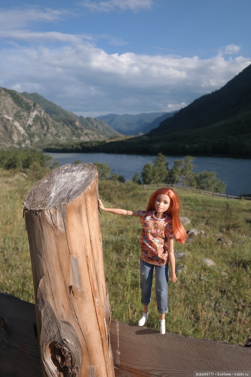 Дело было на Алтае — Коллекционные экшн