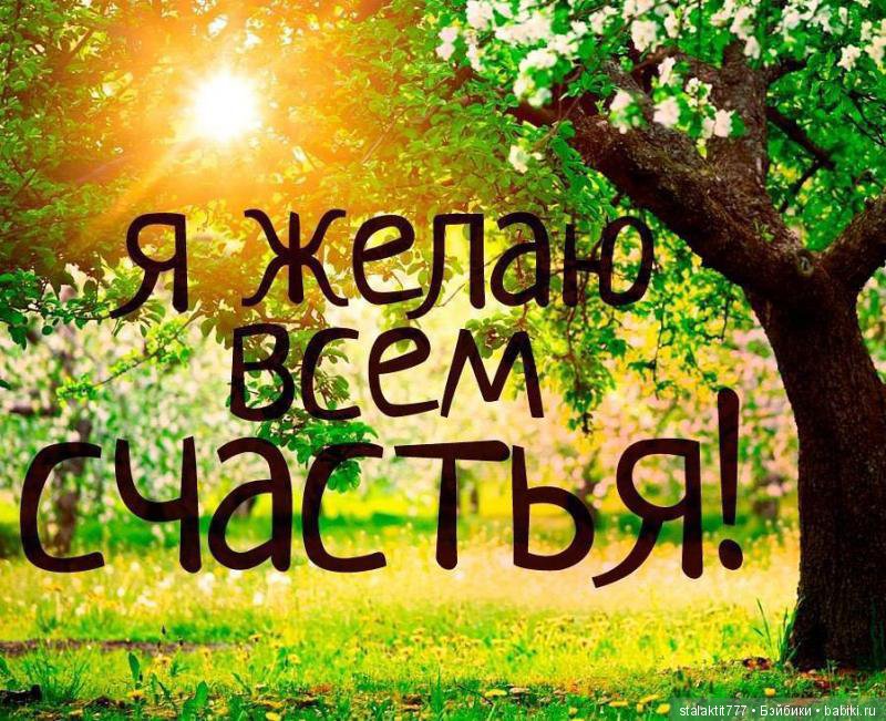 Дело было на Алтае — Коллекционные экшн