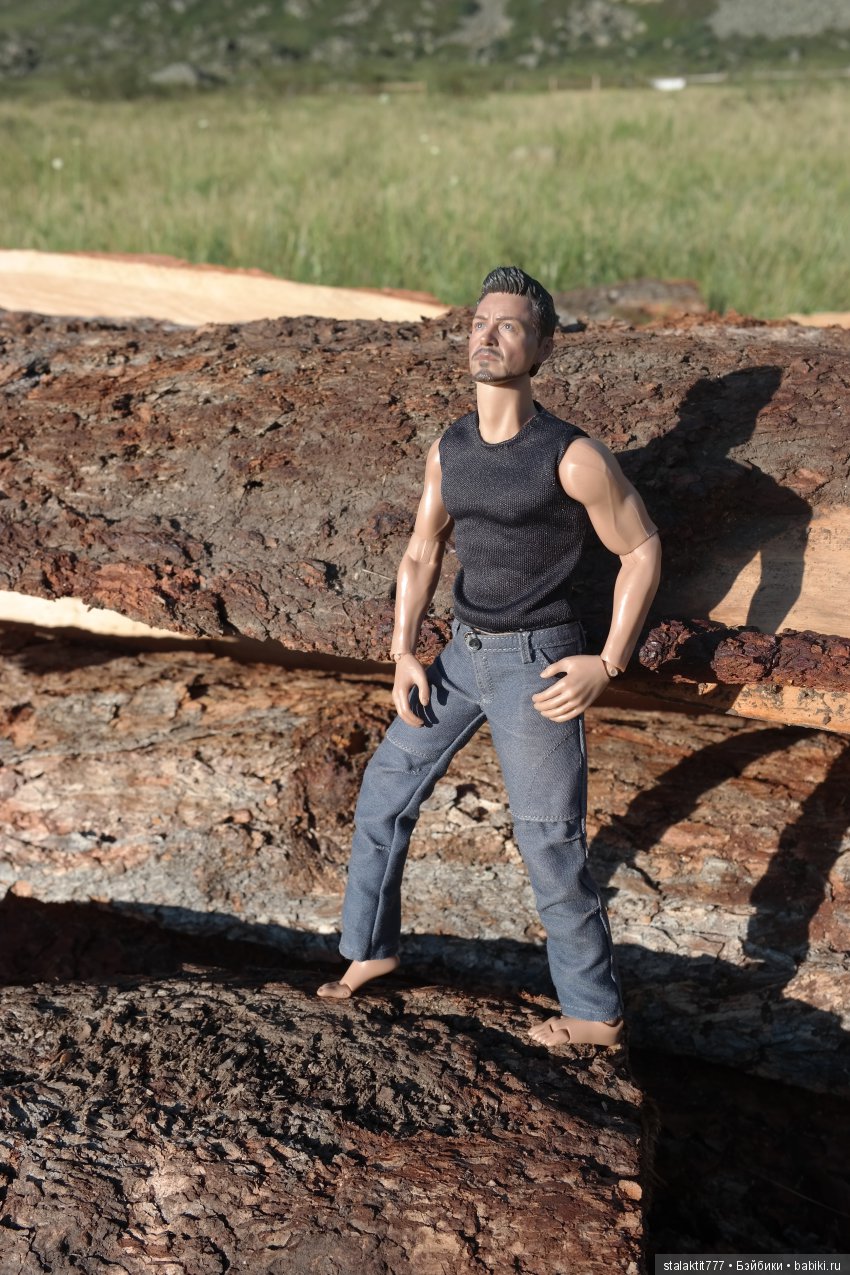 Дело было на Алтае — Коллекционные экшн