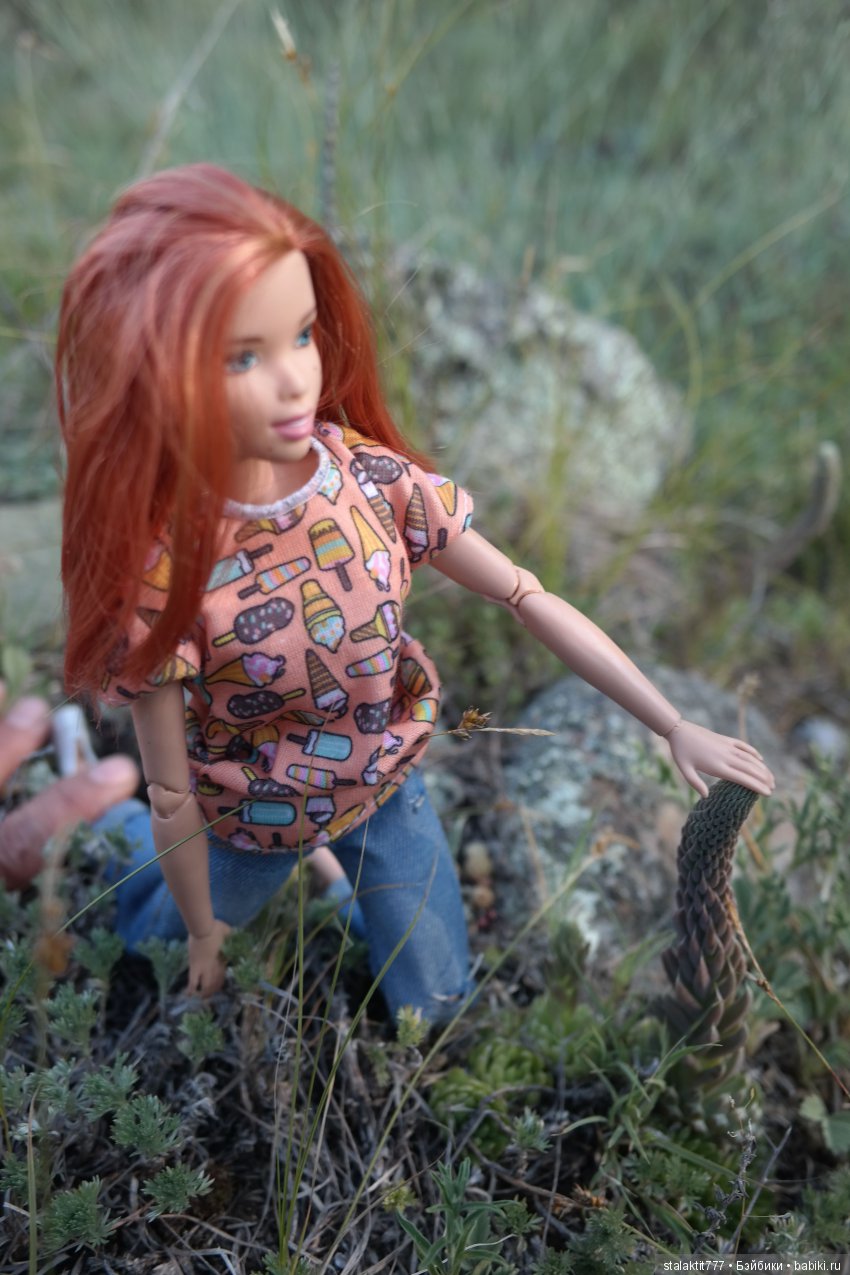 Дело было на Алтае — Коллекционные экшн