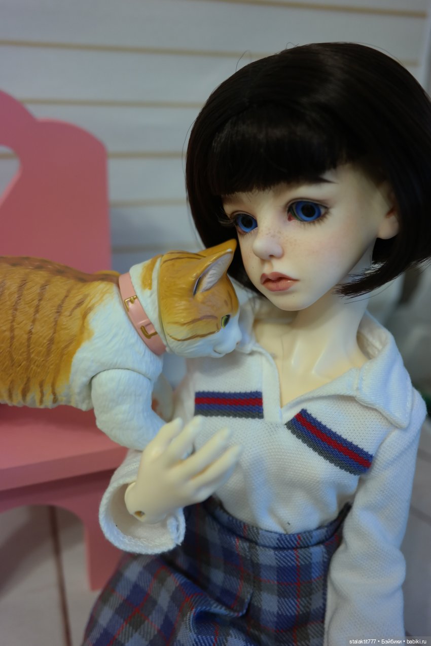 Алиса и кот — Куклы Planetdoll (Планетдолл): BJD (БЖД)