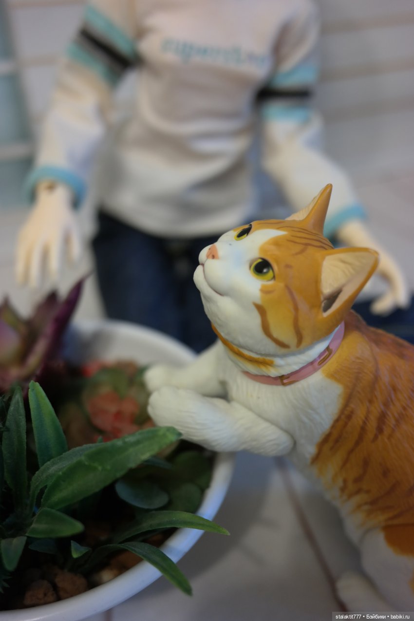 Алиса и кот — Куклы Planetdoll (Планетдолл): BJD (БЖД)