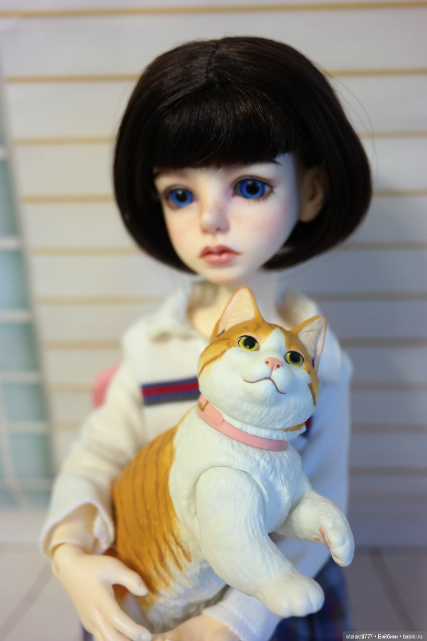 Алиса и кот — Куклы Planetdoll (Планетдолл): BJD (БЖД)