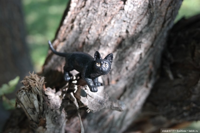 Лиза. Пока сложно — Куклы 5stardoll (5стар): китайские BJD